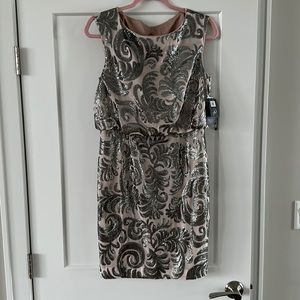 Adrianna Papell cocktail dress, NWT, size: 10, color: blush and gunmetal